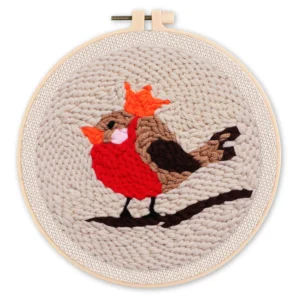 Punchneedle roodborstje - workshoppakket